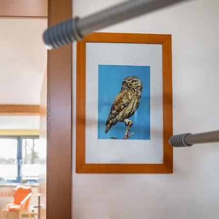 Apartamento Zur Eule - Steinkauz *
